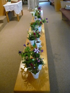 flowers ready for first service!