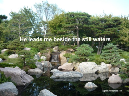still waters